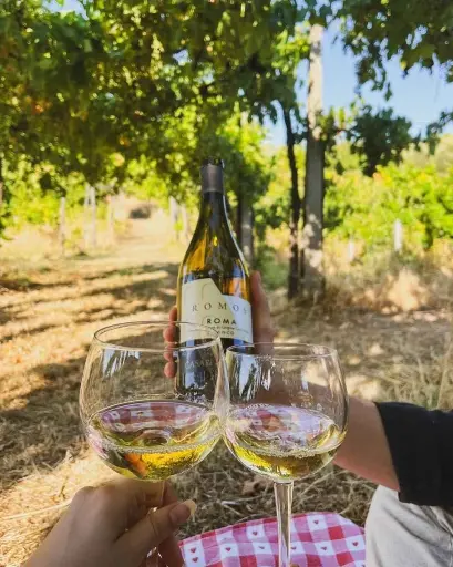 Italy, Lazio, Casale Mattia - Picnic in the Vineyards 