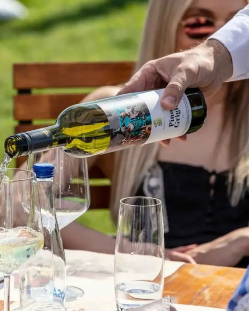 zvonko-bogdan-wine-tasting-subotica-serbia.webp