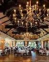zvonko-bogdan-winery-experience-serbia.webp