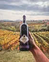 aleksandrovic-vineyards-sumadija-serbia.webp