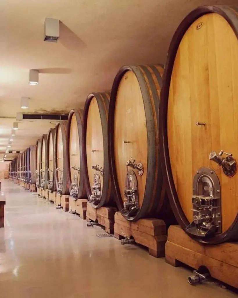 aleksandrovic-wine-cellar-serbia.webp