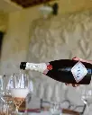 aleksandrovic-winery-wine-tasting-oplenac-serbia.webp