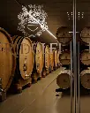 ridolfi-wine-cellar-tour-tuscany.webp