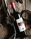 radovanovic-winery-wine-tasting-krnjevo-serbia.webp