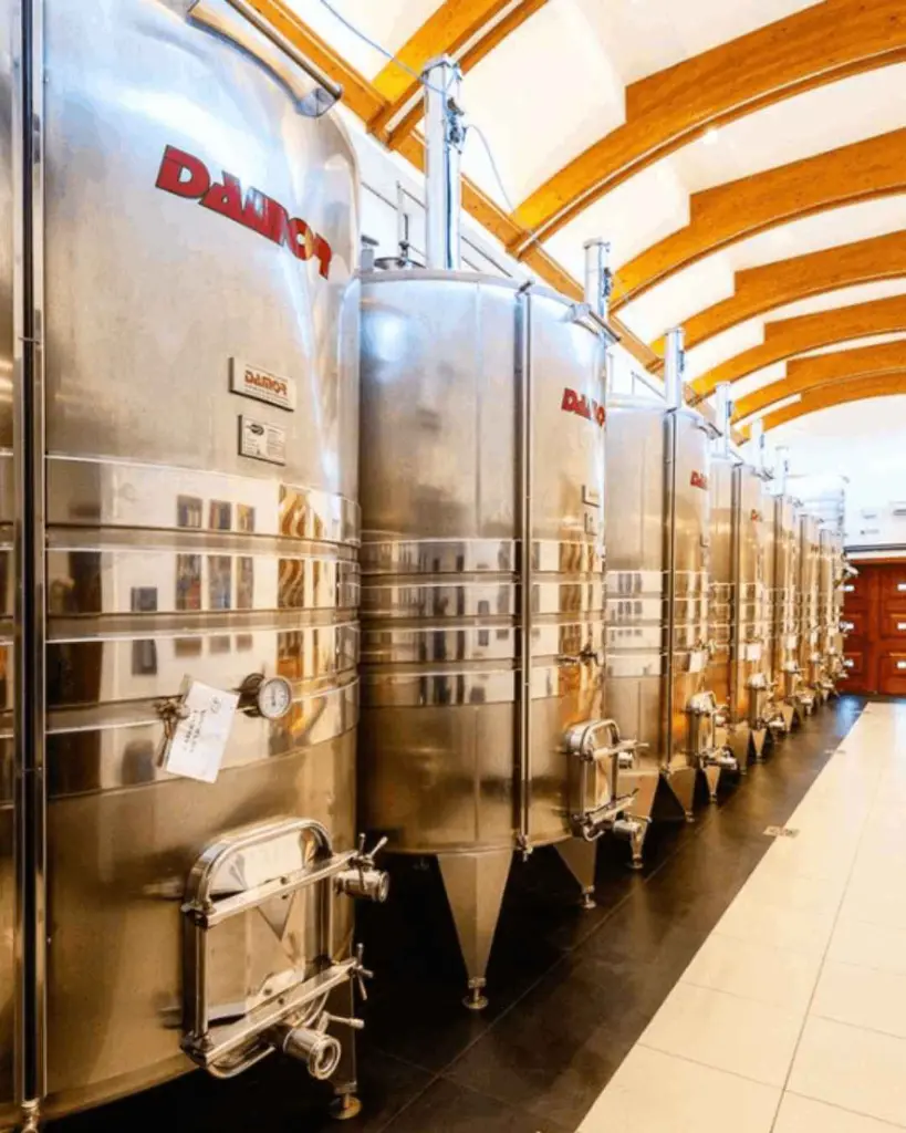 radovanovic-winery-wine-tasting-krnjevo-serbia.webp