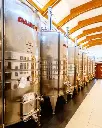radovanovic-winery-wine-tasting-krnjevo-serbia.webp