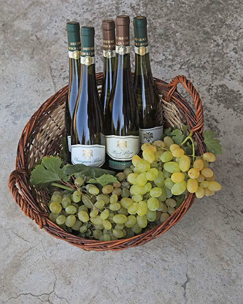 royal-winery-topola-wine-tasting-sumadija-serbia.webp
