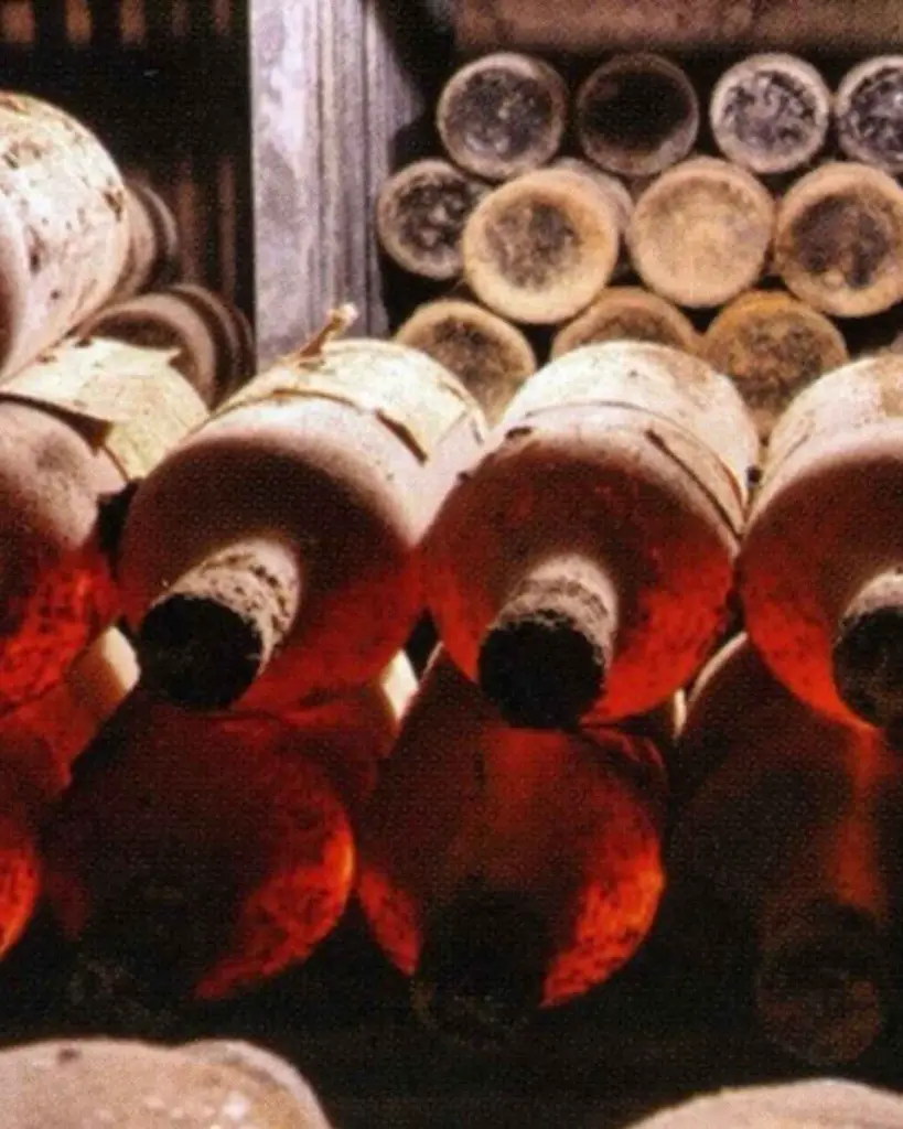 royal-winery-topola-wine-archive-sumadija-serbia.webp