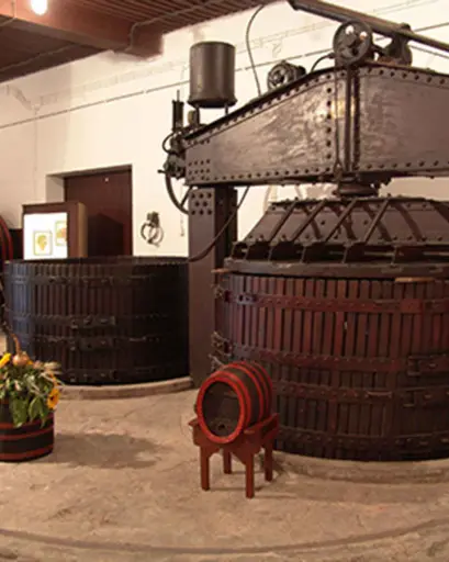 Serbia, Sumadija, Royal winery - Revealing the secrets of Royal treasures