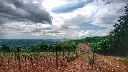 oplenac-royal-vineyards-wine-tour-serbia.webp