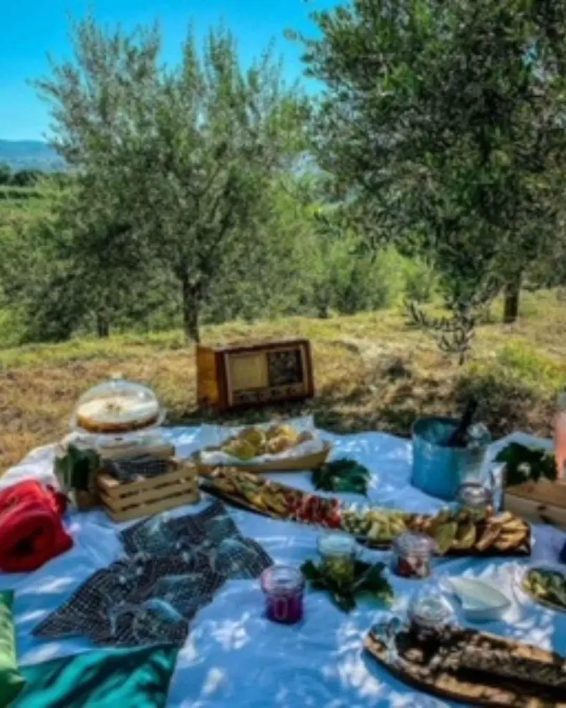goriska-brda-wine-safari-edi-simcic-tour.webp