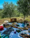 goriska-brda-wine-safari-edi-simcic-tour.webp