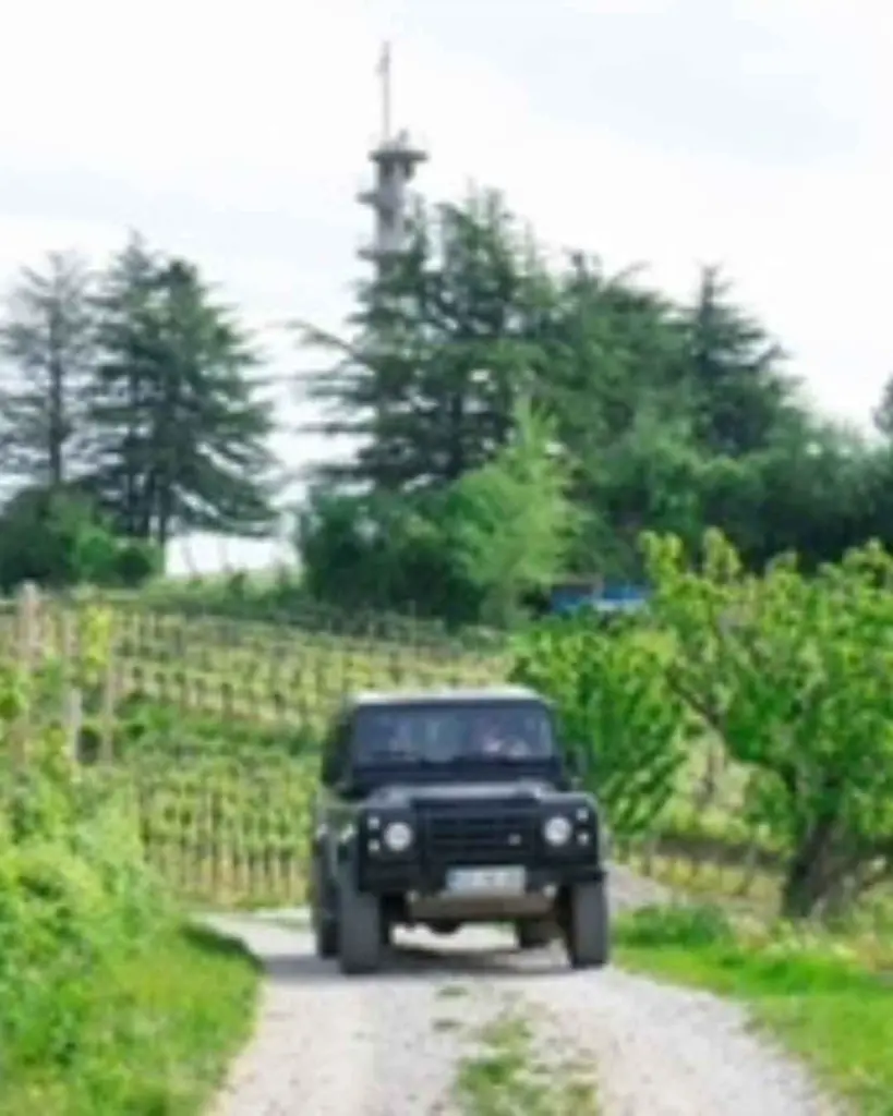 edi-simcic-wine-safari-slovenia.webp