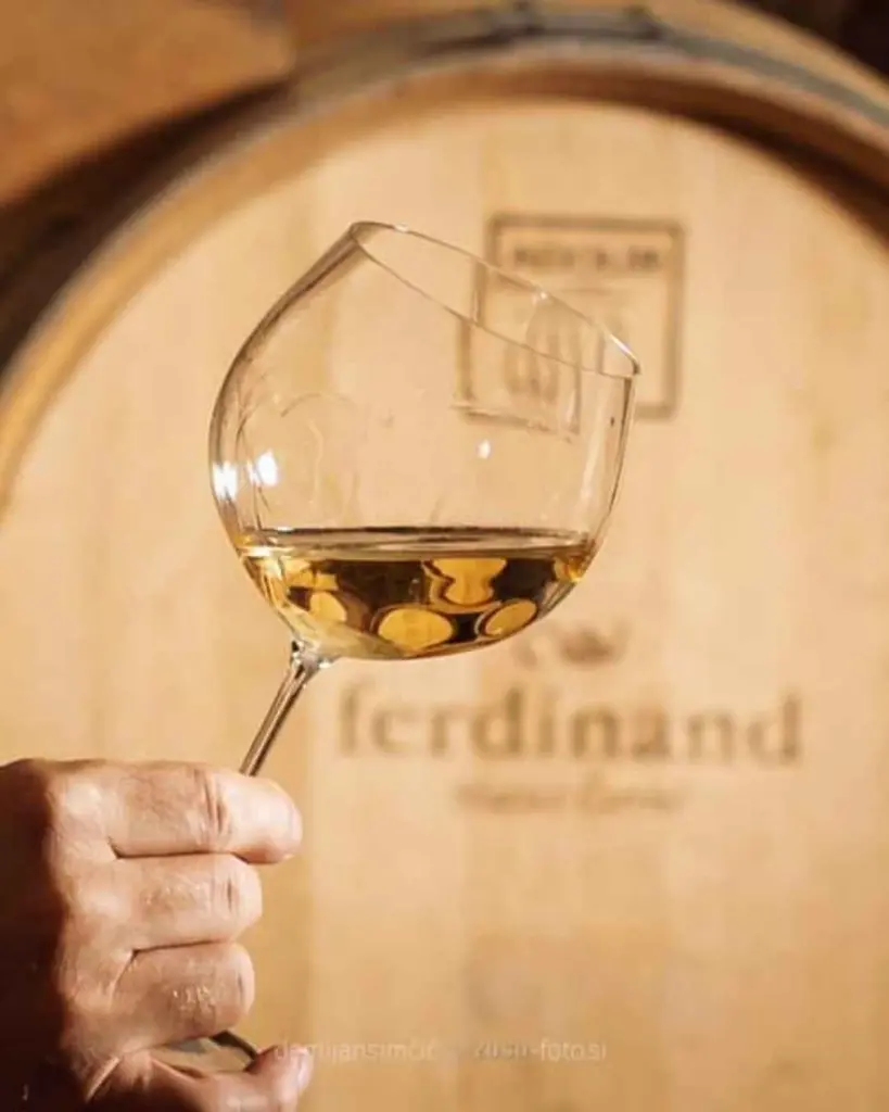 ferdinand-winery-wine-tasting-slovenia.webp
