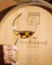 ferdinand-winery-wine-tasting-slovenia.webp