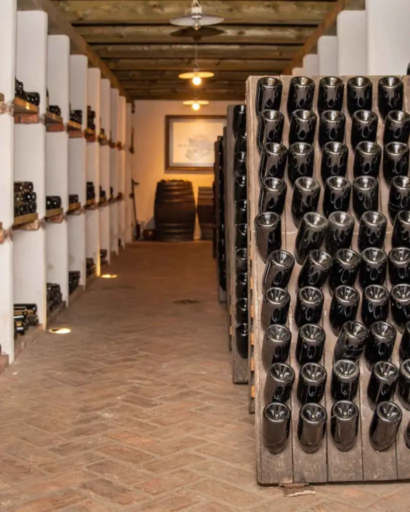 scurek-wine-cellar-slovenia.webp