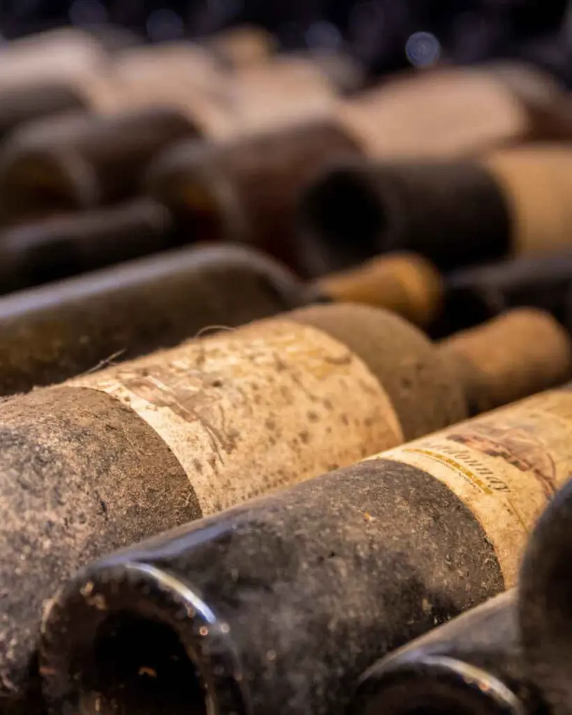 scurek-wine-tour-brda-slovenia.webp