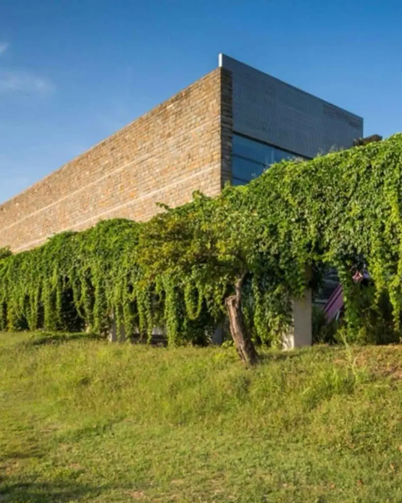 bric-wine-tour-istria-slovenia.webp