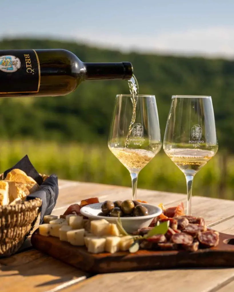 bric-winery-wine-tasting-istria-slovenia.webp