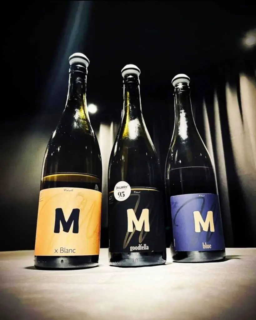 slovenia-stajerska-m–enostavno-dobra-vina-visit-tasting-tour.webp