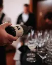 slovenia-stajerska-m–enostavno-dobra-vina-tasting-tour.webp