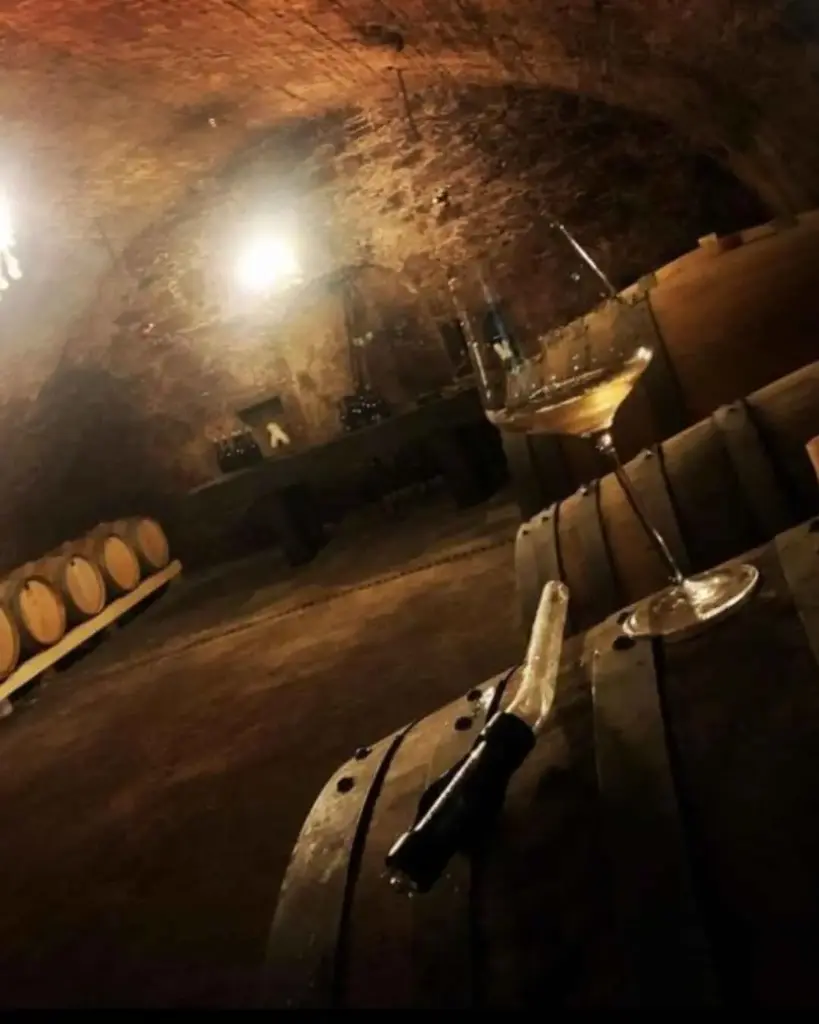 slovenia-stajerska-m–enostavno-dobra-vina-cellar.webp