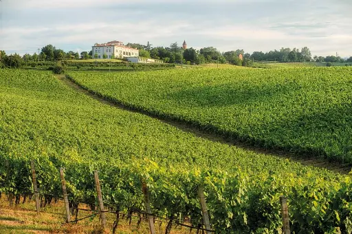 Italy, Emilia-Romagna, Umberto Cesari - Tour classic