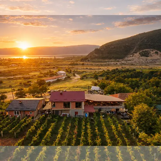 North Macedonia, Ohrid, Family Winery Stoyan and Sons - Wine Tasting Experience
