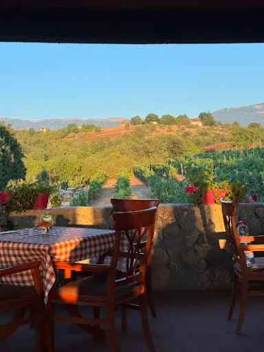 North Macedonia, Ohrid, Family Winery Stoyan and Sons - Wine Tasting Experience