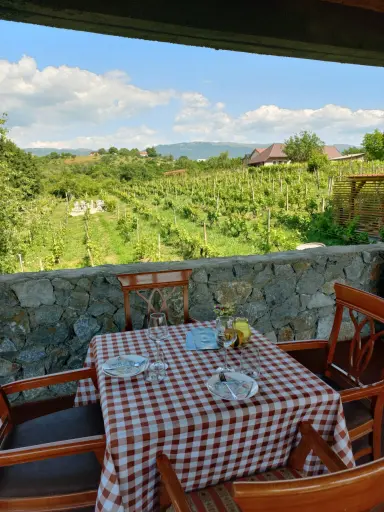 North Macedonia, Ohrid, Family Winery Stoyan and Sons - Wine Tasting Experience