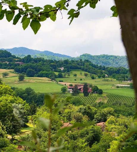 Italy, Veneto, Masari - Grand Tasting
