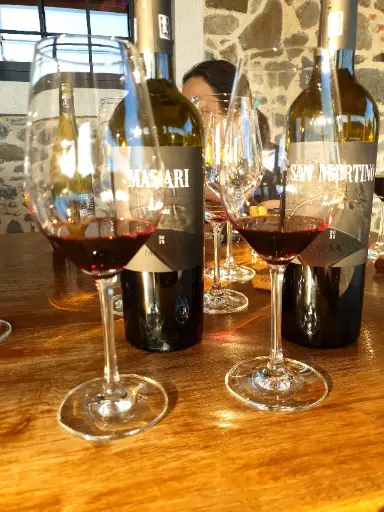 Italy, Veneto, Masari - Panorama Tasting