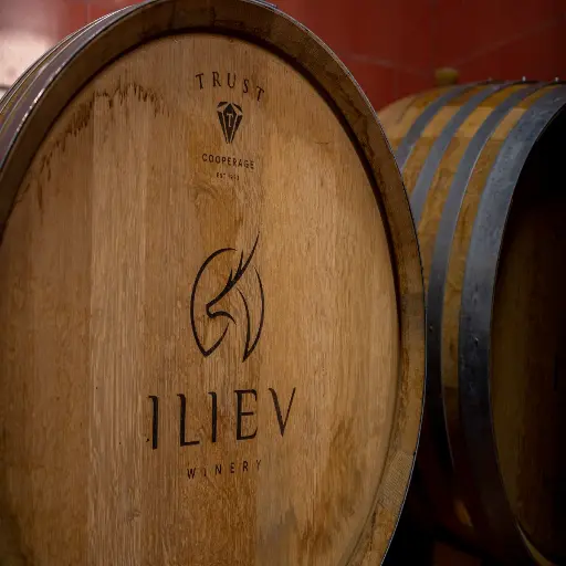 North Macedonia, Tikvesh, Iliev Winery - Private Wine Tasting!