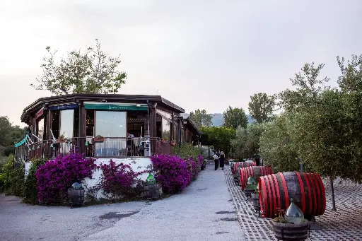 Italy, Campania, Sorrentino Vesuvio Vite Vulcaniche - Wine Tasting