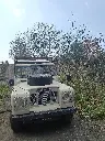 sorrentino-wine-tasting-with-lunch-campania-italy.webp