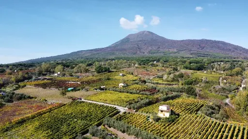 Italy, Campania, Sorrentino Vesuvio Vite Vulcaniche - Vintage Vesuvio Wine Safari