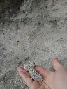 sorrentino-vesuvius-wine-tasting-campania-italy.webp