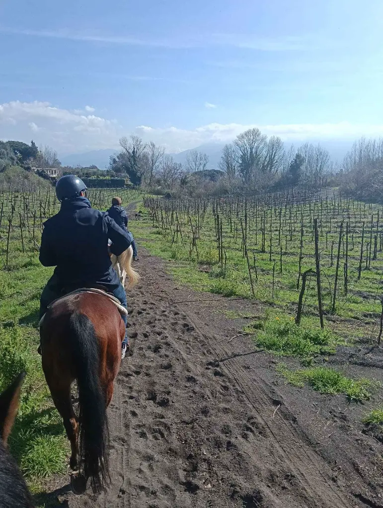 sorrentino-vesuvio-horseback-riding-vineyard-campania-italy.webp