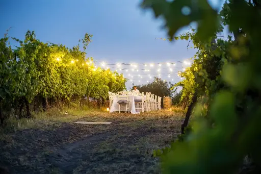 Italy, Campania, Sorrentino Vesuvio Vite Vulcaniche - Cooking Class, Tasting and Dinner in the Vineyard