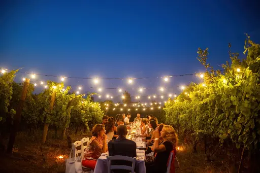 Italy, Campania, Sorrentino Vesuvio Vite Vulcaniche - Cooking Class, Tasting and Dinner in the Vineyard