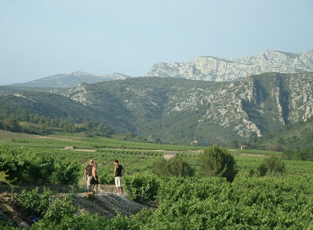 Vents du Sud - Tasting of 6 natural wines