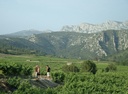 Vents du Sud - Tasting of 6 natural wines