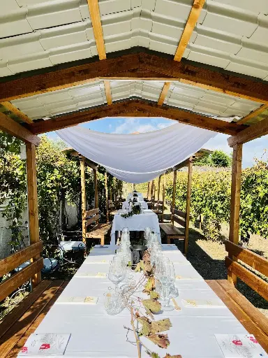 Italy, Campania, Sorrentino Vesuvio Vite Vulcaniche - Lunch in the Vineyard