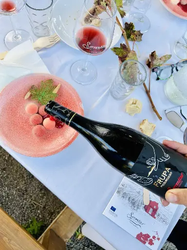 Italy, Campania, Sorrentino Vesuvio Vite Vulcaniche - Lunch in the Vineyard