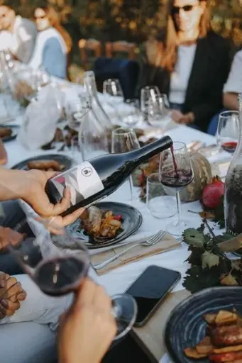 Italy, Campania, Sorrentino Vesuvio Vite Vulcaniche - Lunch in the Vineyard