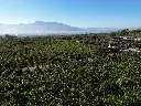 sorrentino-vesuvio-authentic-vineyard-lunch-italy.webp