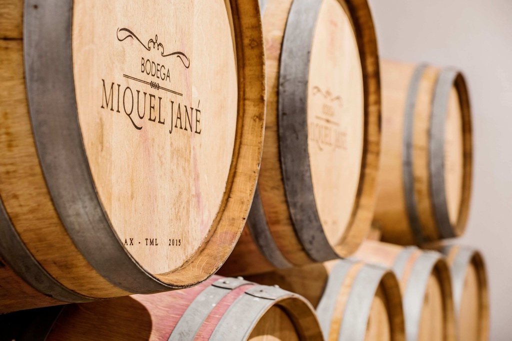 Bodega Miquel Jane - Breakfast and full visit to the winery with wine tasting