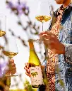 grgich-hills-estate-wine-tasting-napa-usa.webp
