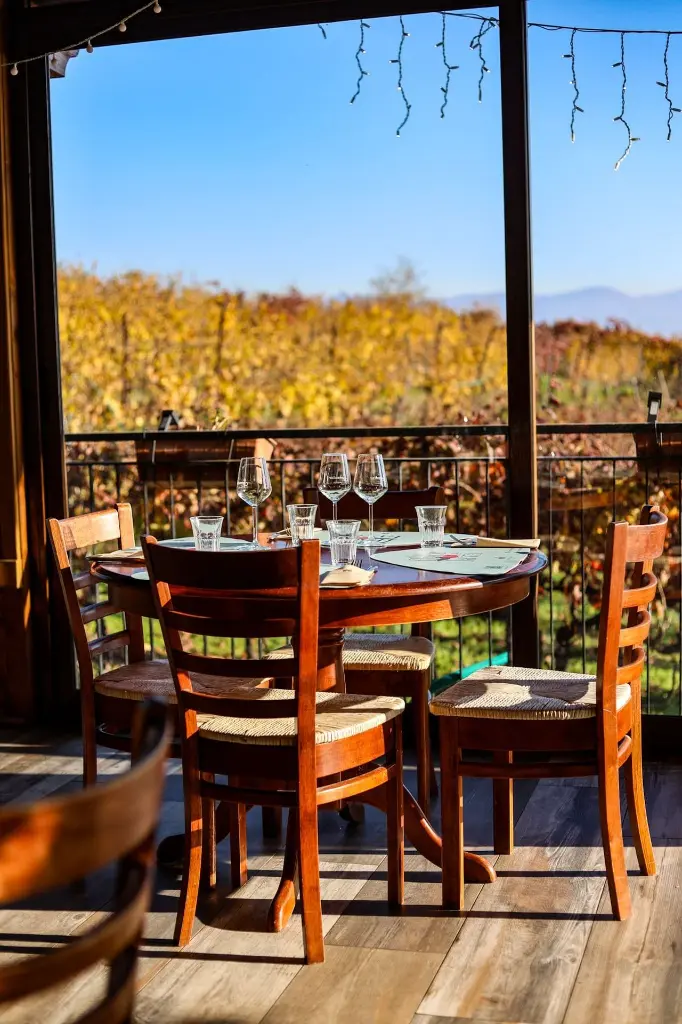 sorrentino-vesuvio-cooking-class-with-wine-pairing-campania.webp