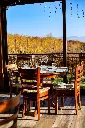 sorrentino-vesuvio-cooking-class-with-wine-pairing-campania.webp